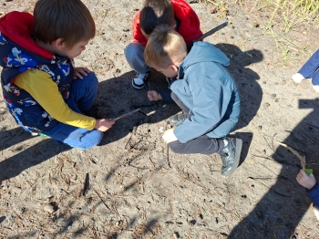 inbound5262318585962475256