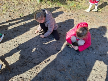 inbound5584579532799546225