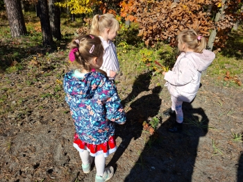 inbound244598175392797161