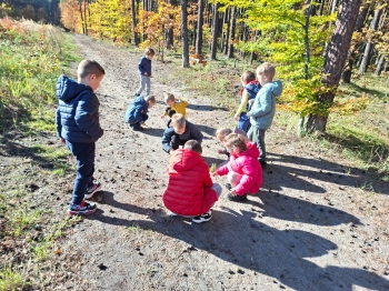 inbound4447824577825947159