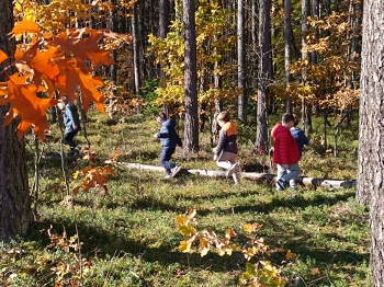 inbound8937371851681163156