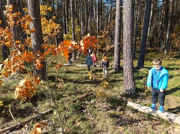 inbound993480438732348738