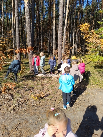 inbound9172325332379799715