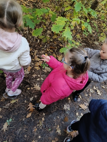 inbound3048430304042195541