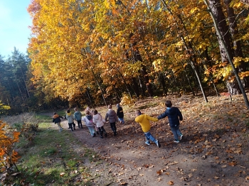 inbound5071460170963451408