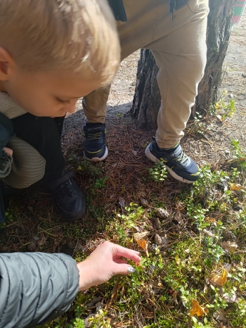 inbound6195792338858907753