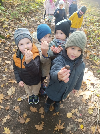 inbound3189564939833787489