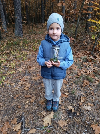 inbound8528808205982076913