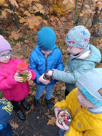 inbound5445411125196351763