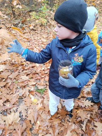 inbound6015880920037188659