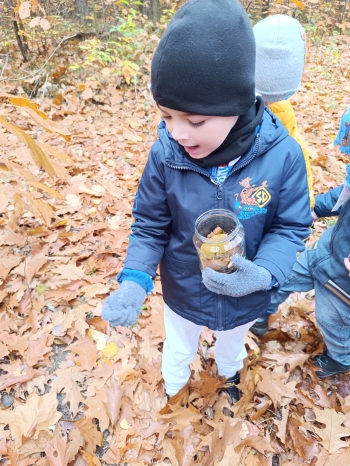 inbound1025275551888994230