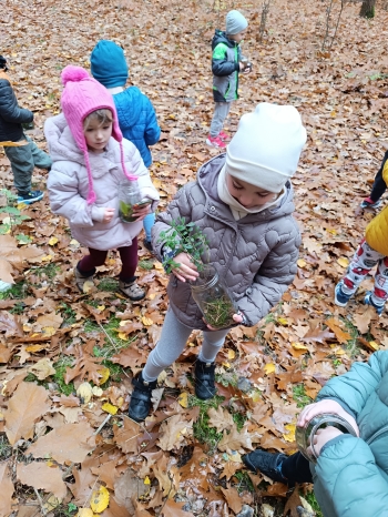 inbound2910691469040465101