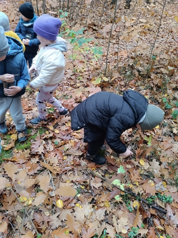 inbound4749741726221126317