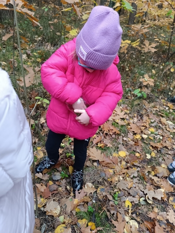 inbound164115418155450906