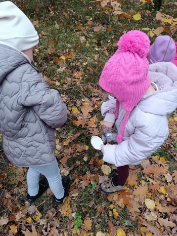 inbound3072431032955791315