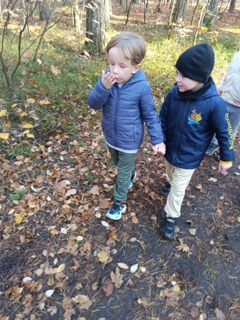 inbound6308962591306578445