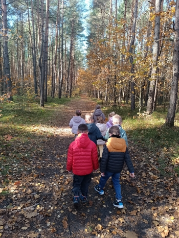 inbound6116731061997305952