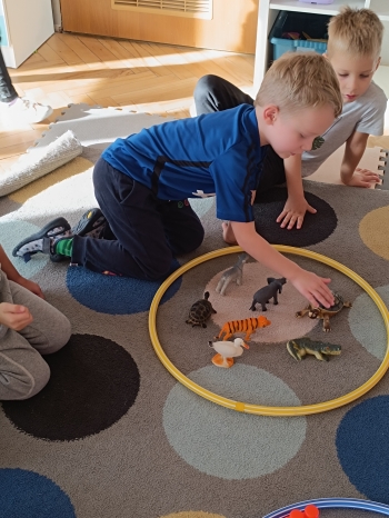 inbound5548213001692062836