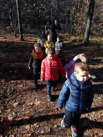 inbound1899241407373871689