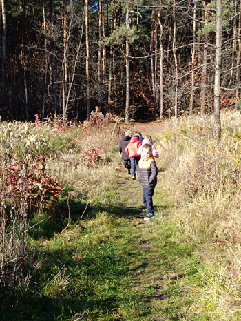 inbound8840932254336853689