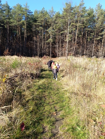 inbound1398023993458717795