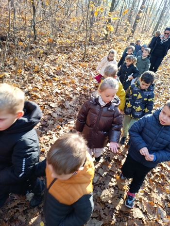 inbound9032702748090141552