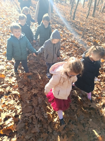 inbound863721761052873324