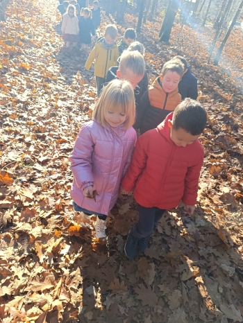 inbound5188840188364547777