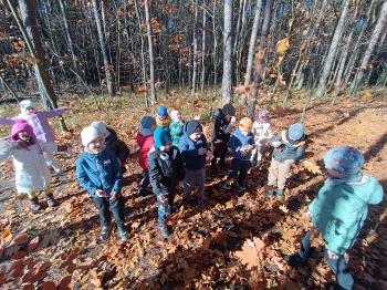 inbound2030556982206984912