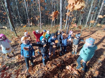 inbound1268673391525590798