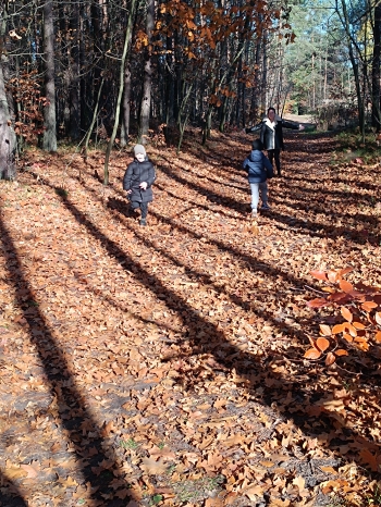 inbound1845779818570723013