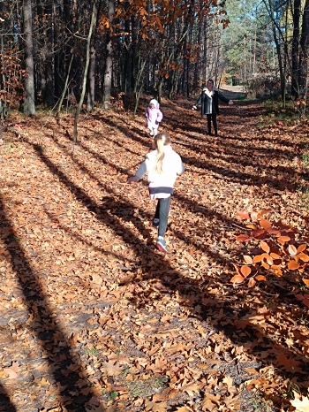 inbound3480251695006157505