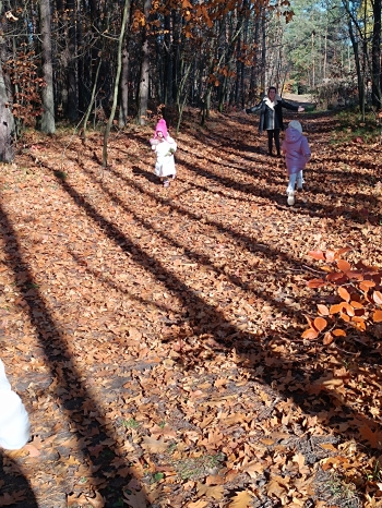 inbound3740343242463000260