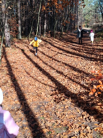 inbound4109972564974349561