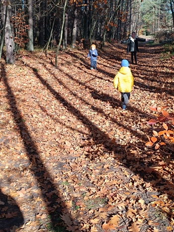 inbound8317507133926431539