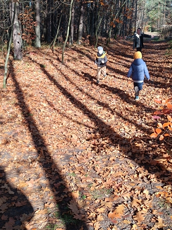 inbound3092348674640409060