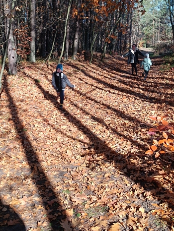 inbound1993655564032981910