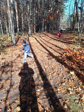 inbound2483023444929742077