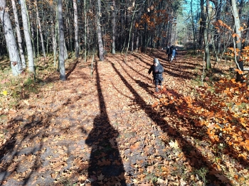 inbound2826584057002164610