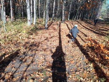 inbound4083874510731245522