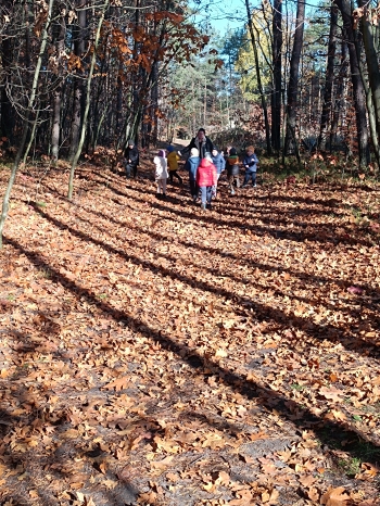 inbound4421406524794710868