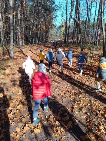 inbound4946348065001508709