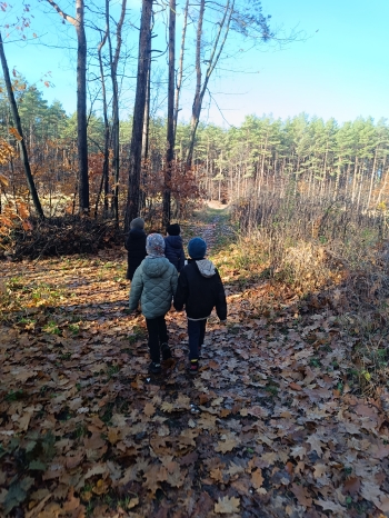 inbound1601913826786150713