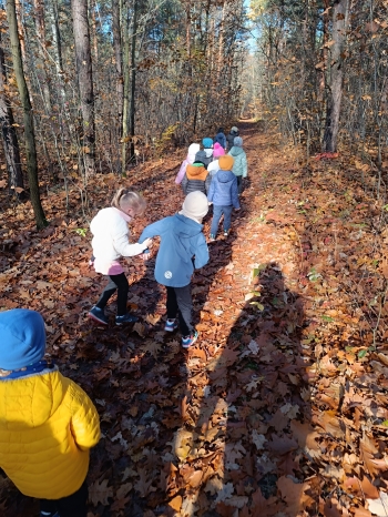 inbound4711944885271302794