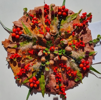 IMG-20251020-WA0078(1)