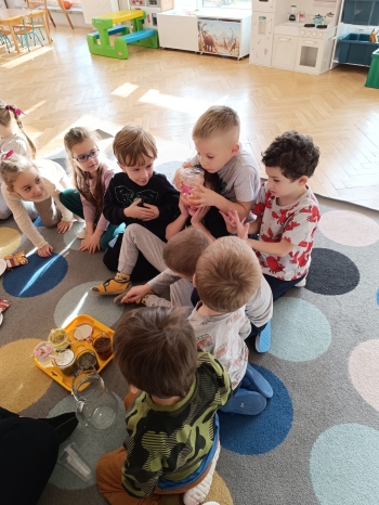 inbound3603920754086219266