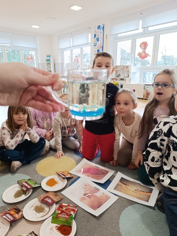 inbound5306837628396517392