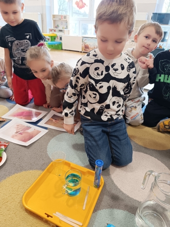 inbound8243013014698166282