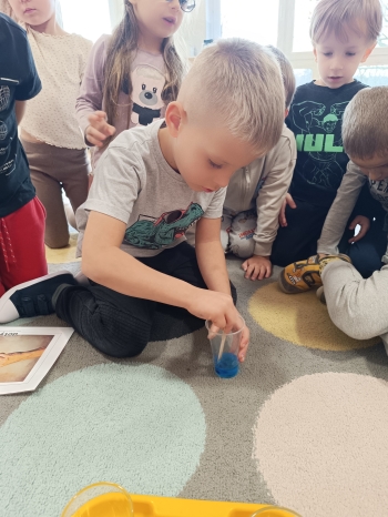 inbound5318847657045086300