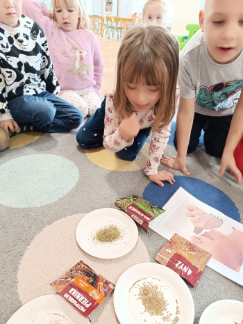 inbound644051822563597358